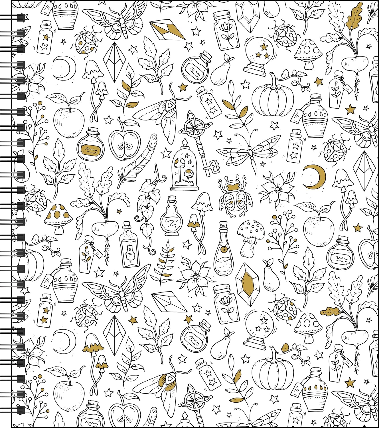 Johanna Basford 12-Month 2026 Weekly Coloring Calendar 9781524898045_2