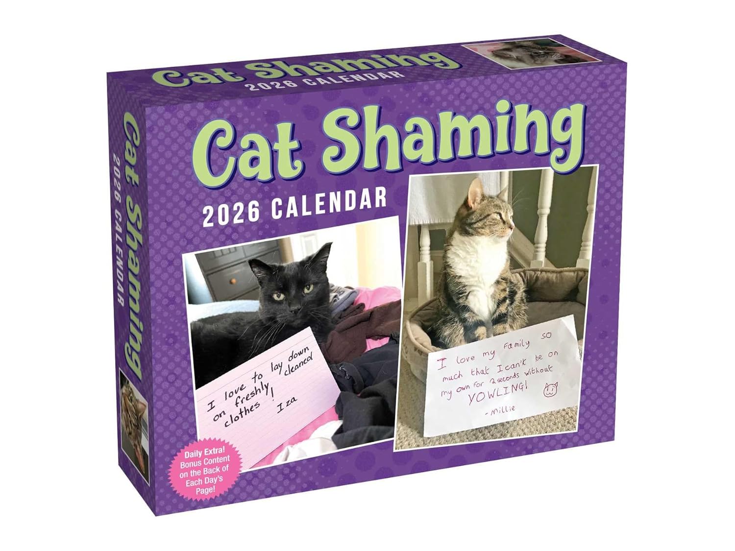 Cat Shaming 2026 Day-To-Day Calendar 9781524898113