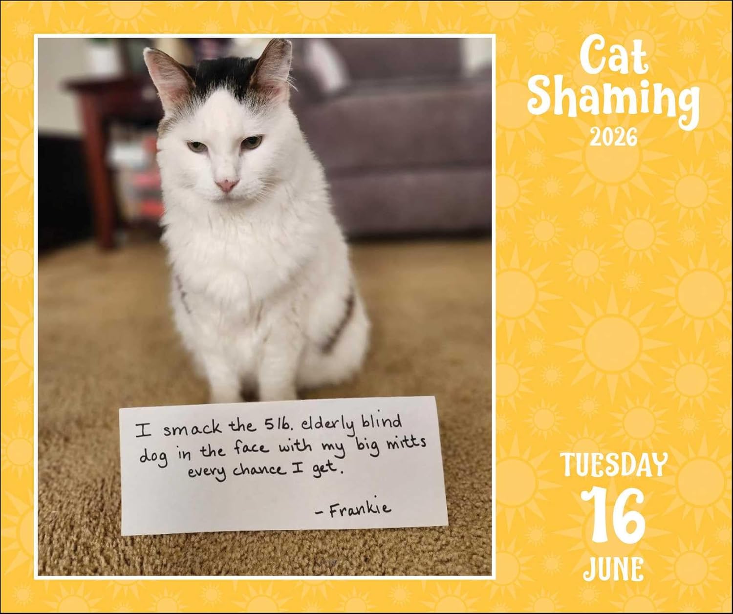 Cat Shaming 2026 Day-To-Day Calendar 9781524898113_3