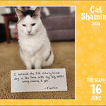 Cat Shaming 2026 Day-To-Day Calendar 9781524898113_3