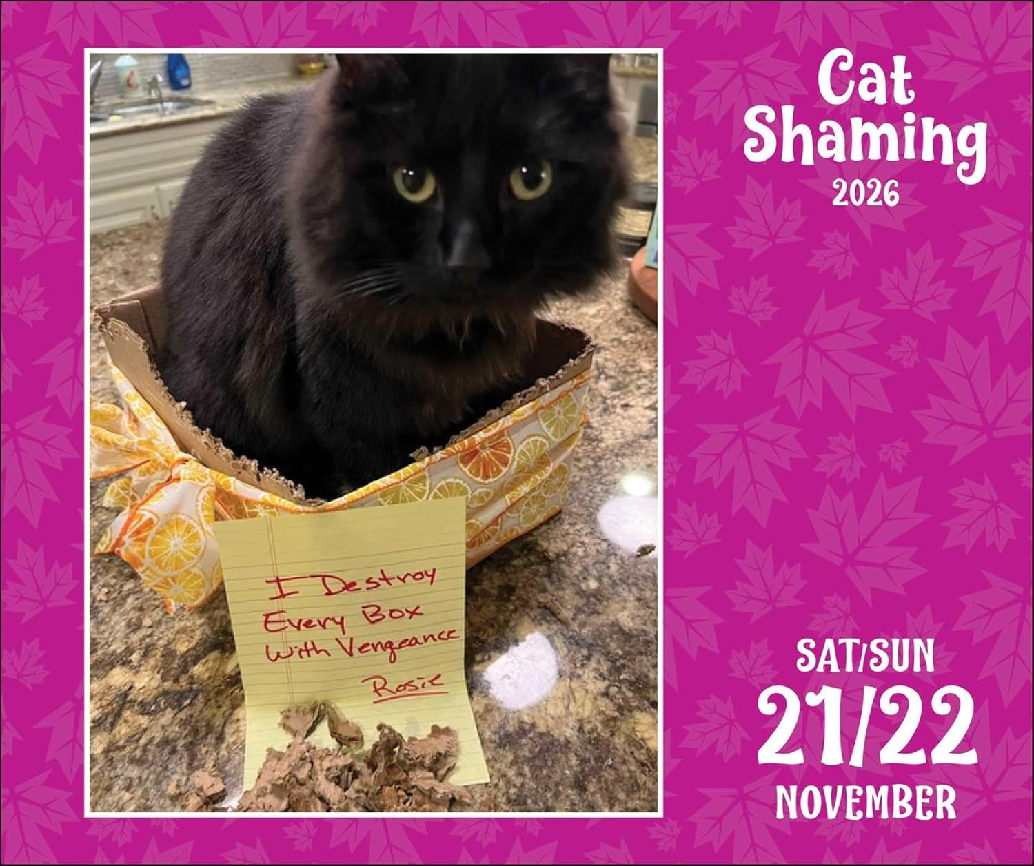 Cat Shaming 2026 Day-To-Day Calendar 9781524898113_4