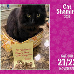Cat Shaming 2026 Day-To-Day Calendar 9781524898113_4