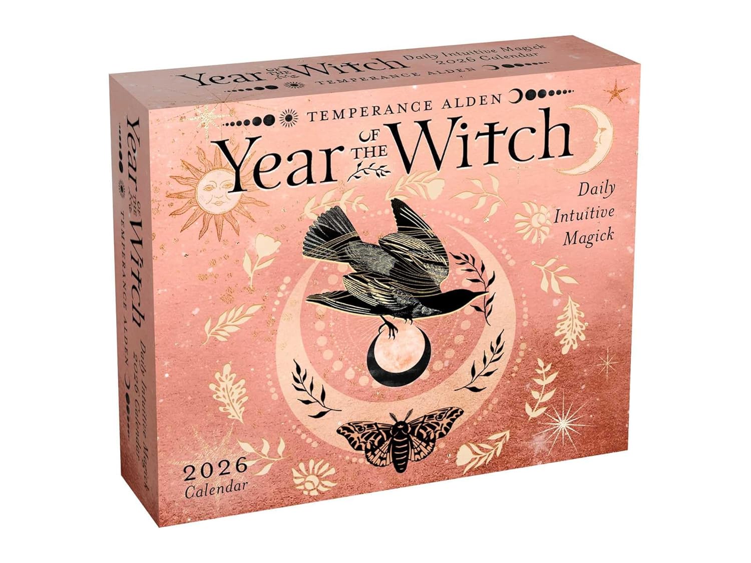 Year Of The Witch 2026 Day-To-Day Calendar 9781524898199