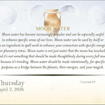Year Of The Witch 2026 Day-To-Day Calendar 9781524898199_2