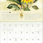 Year Of The Witch 2026 Wall Calendar 9781524898205_3