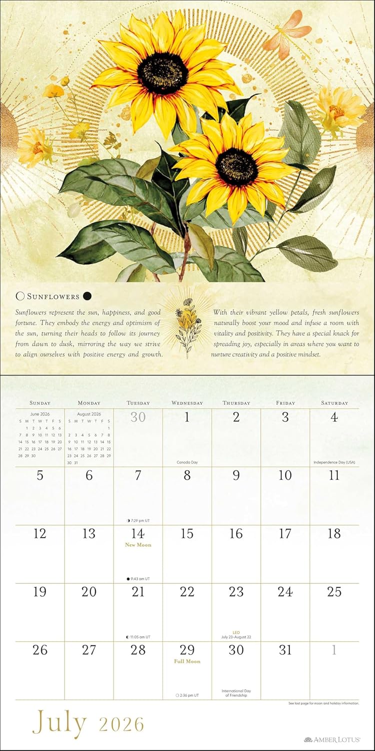 Year Of The Witch 2026 Wall Calendar 9781524898205_3