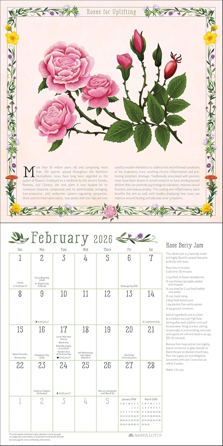 Kitchen Witch 2026 Wall Calendar 9781524898366_1