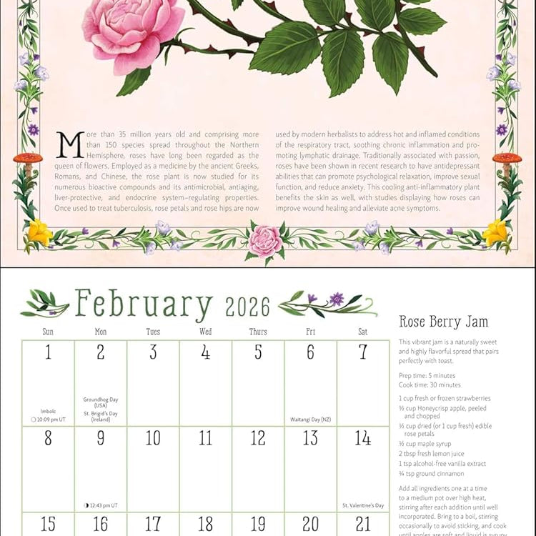 Kitchen Witch 2026 Wall Calendar 9781524898366_1