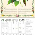 Kitchen Witch 2026 Wall Calendar 9781524898366_2