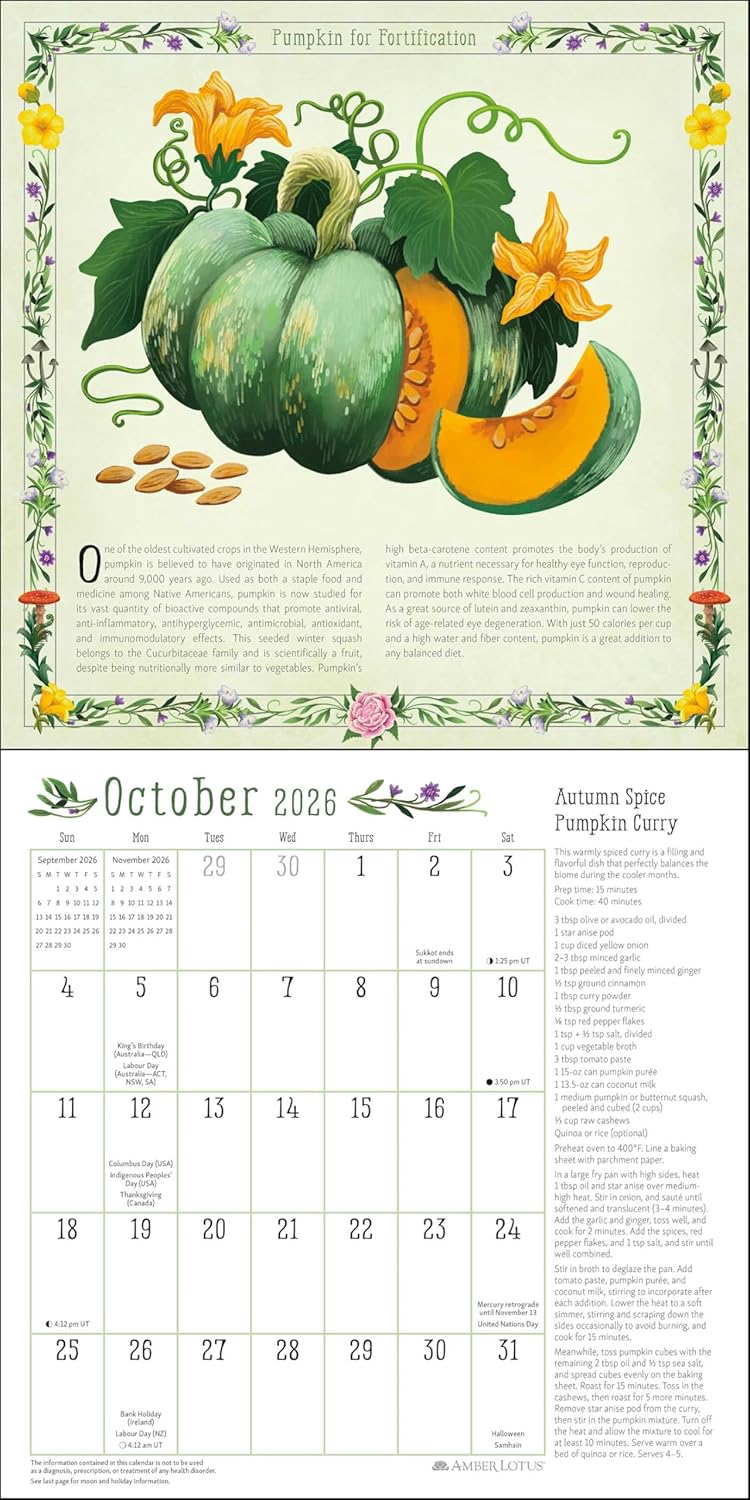 Kitchen Witch 2026 Wall Calendar 9781524898366_3