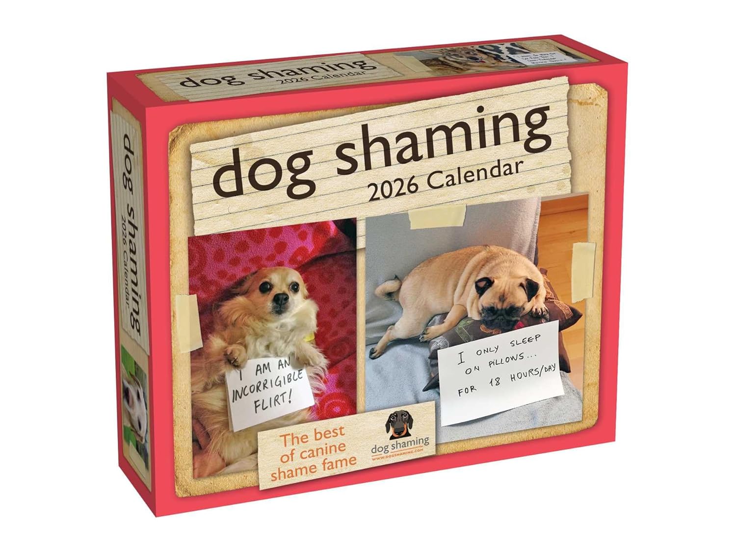 Dog Shaming 2026 Day-To-Day Calendar 9781524898816