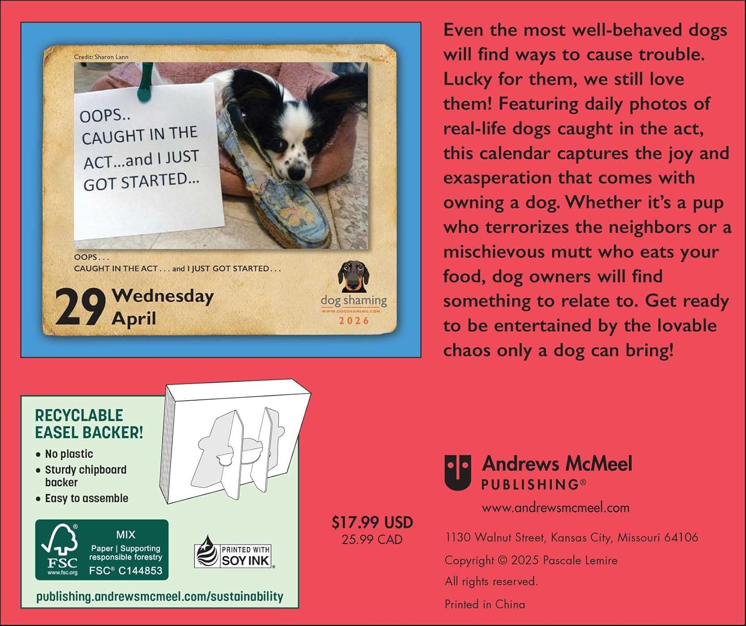 Dog Shaming 2026 Day-To-Day Calendar 9781524898816_1