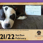 Dog Shaming 2026 Day-To-Day Calendar 9781524898816_2