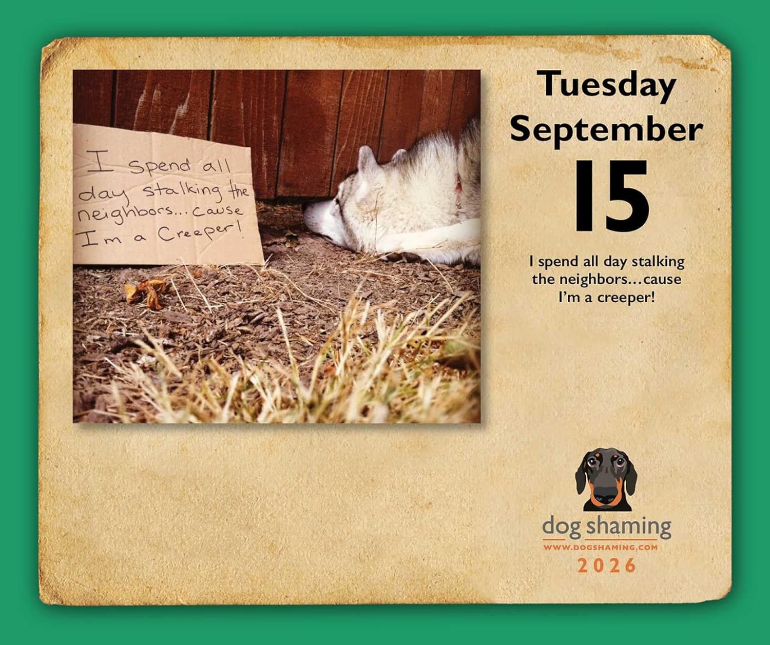 Dog Shaming 2026 Day-To-Day Calendar 9781524898816_4