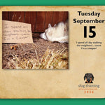 Dog Shaming 2026 Day-To-Day Calendar 9781524898816_4
