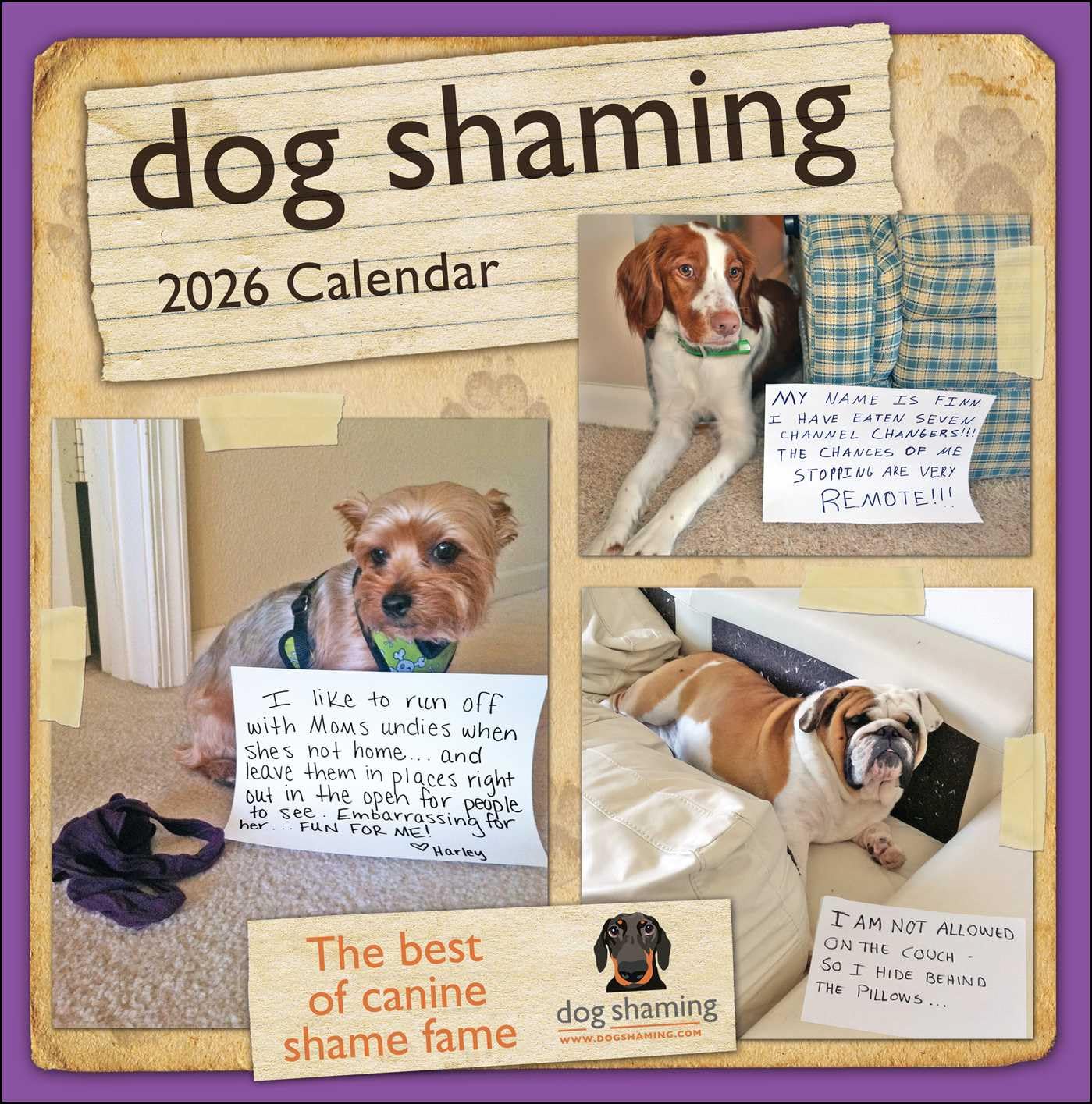 Dog Shaming 2026 Wall Calendar 9781524898823
