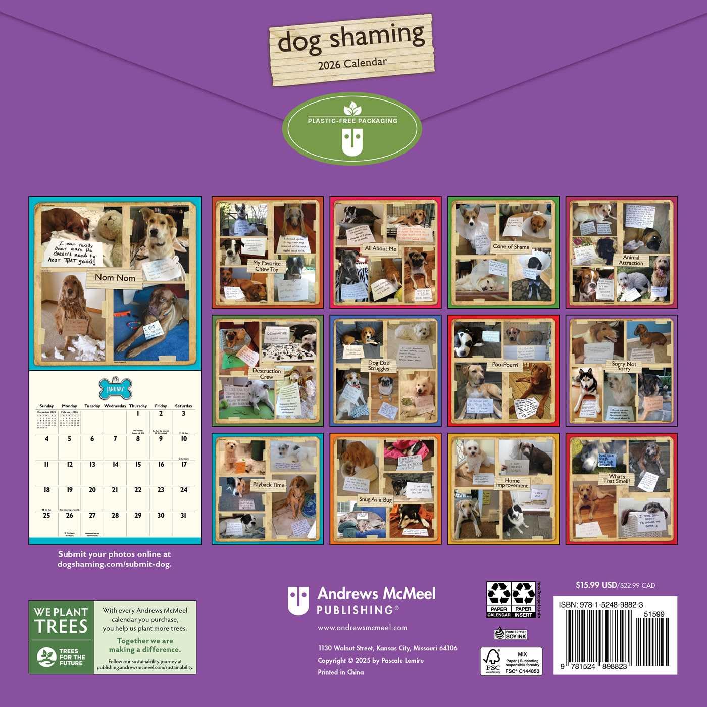 Dog Shaming 2026 Wall Calendar 9781524898823_1