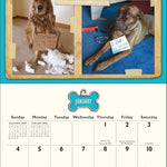 Dog Shaming 2026 Wall Calendar 9781524898823_2