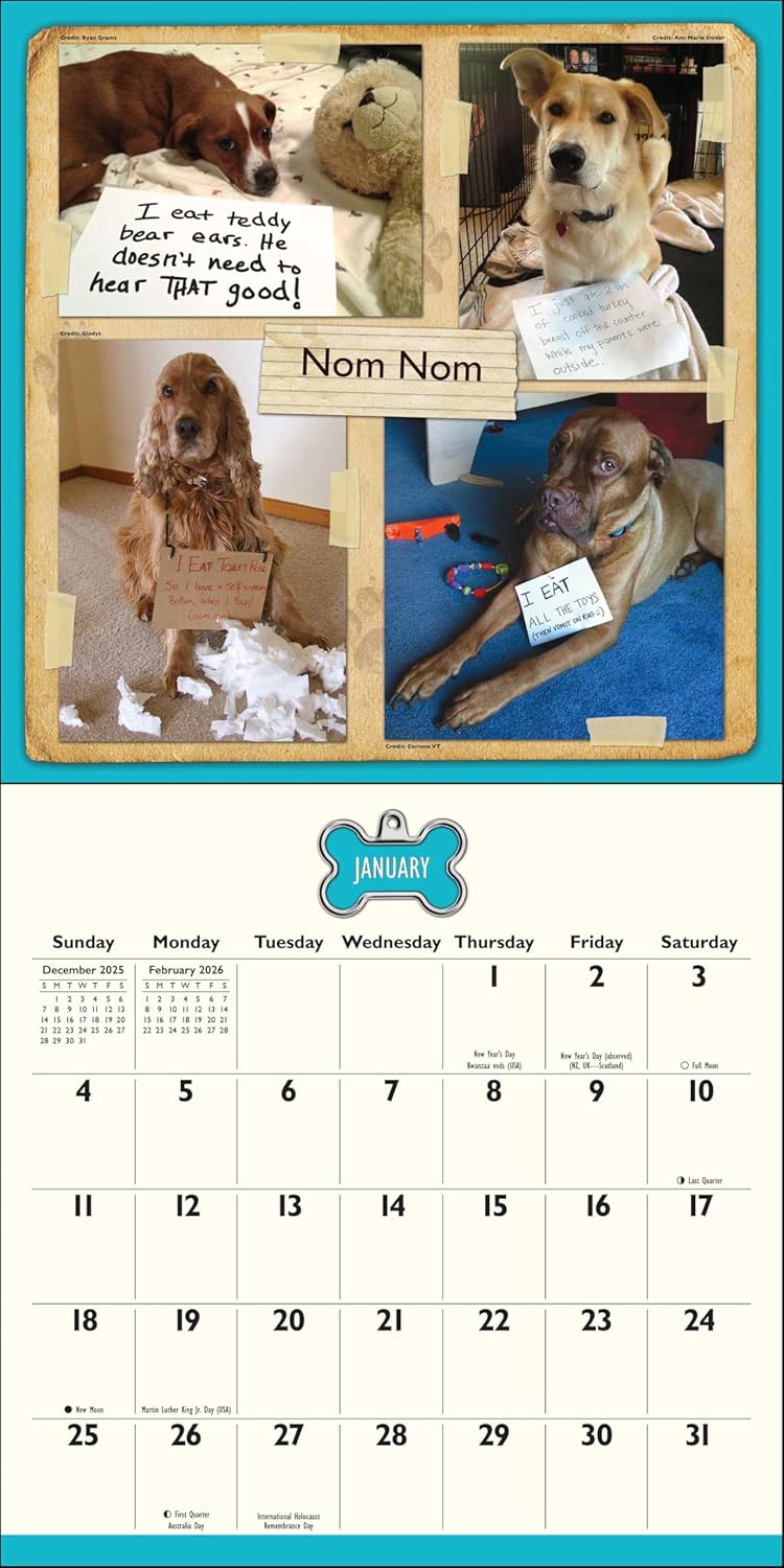 Dog Shaming 2026 Wall Calendar 9781524898823_2