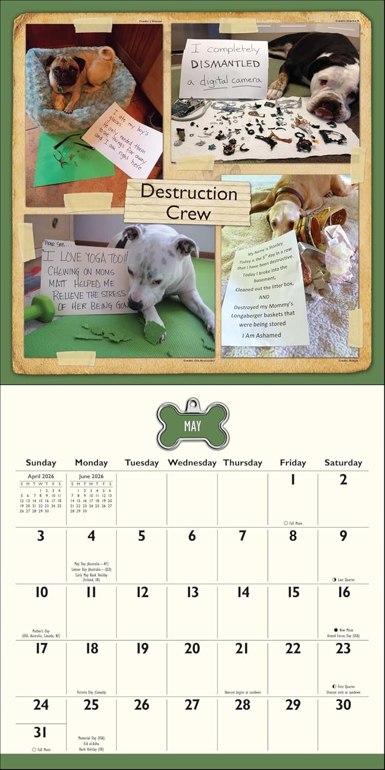 Dog Shaming 2026 Wall Calendar 9781524898823_3