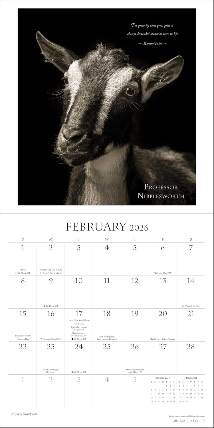 I Am Goat 2026 Wall Calendar 9781524898922_1