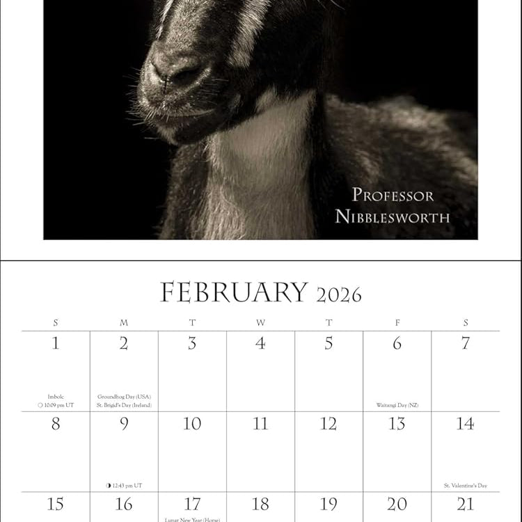 I Am Goat 2026 Wall Calendar 9781524898922_1
