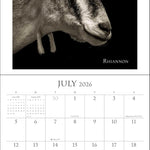 I Am Goat 2026 Wall Calendar 9781524898922_2