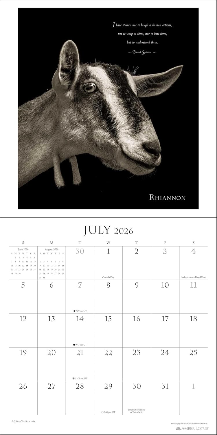 I Am Goat 2026 Wall Calendar 9781524898922_2