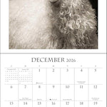 I Am Goat 2026 Wall Calendar 9781524898922_3