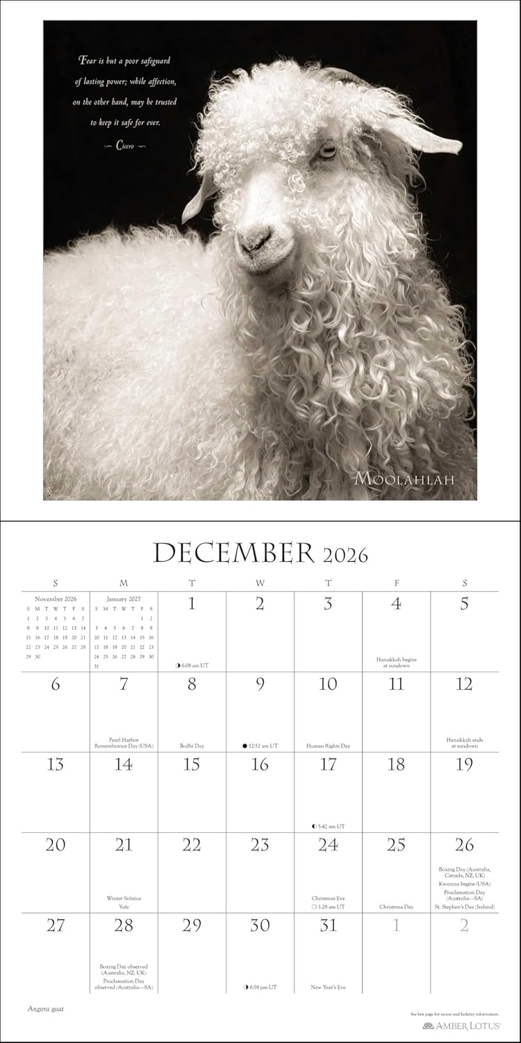 I Am Goat 2026 Wall Calendar 9781524898922_3