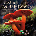 Miraculous Mushroom 2026 Wall Calendar 9781524898939