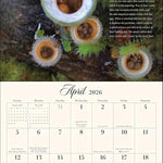 Miraculous Mushroom 2026 Wall Calendar 9781524898939_2