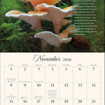 Miraculous Mushroom 2026 Wall Calendar 9781524898939_3