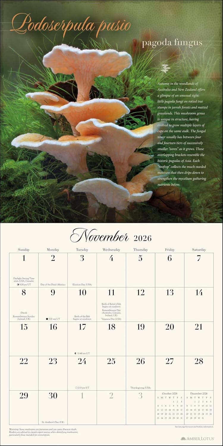 Miraculous Mushroom 2026 Wall Calendar 9781524898939_3