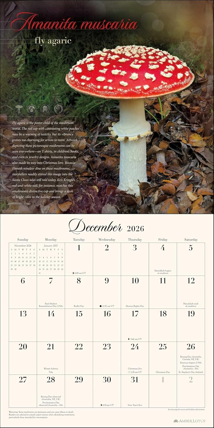 Miraculous Mushroom 2026 Wall Calendar 9781524898939_4