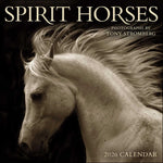 Spirit Horses 2026 Wall Calendar By Tony Stromberg 9781524899066