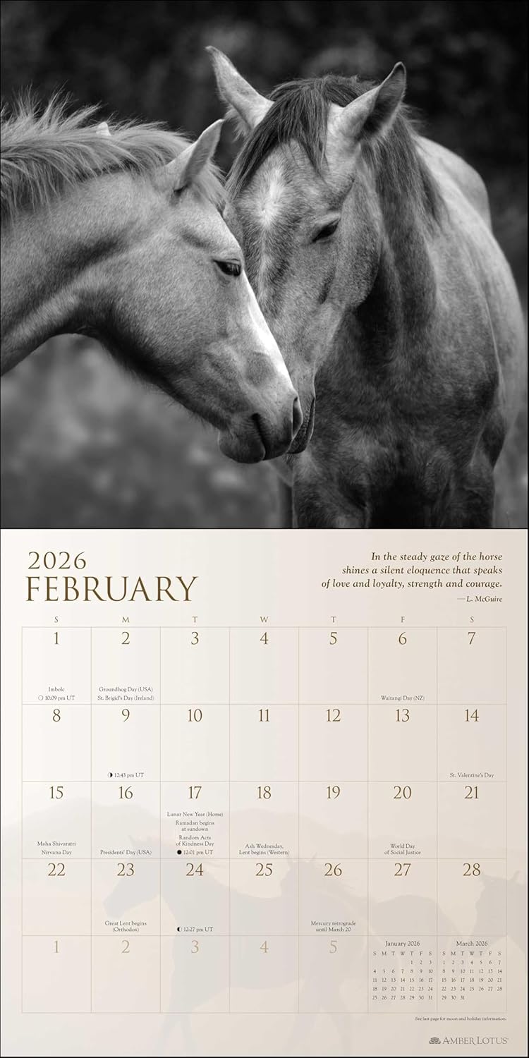 Spirit Horses 2026 Wall Calendar By Tony Stromberg 9781524899066_1