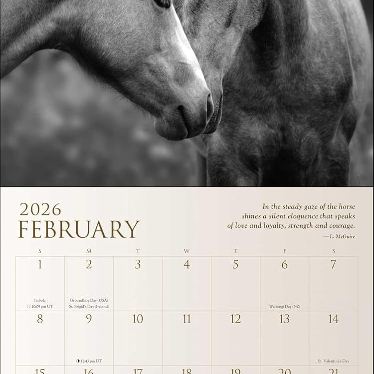 Spirit Horses 2026 Wall Calendar By Tony Stromberg 9781524899066_1