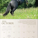 Spirit Horses 2026 Wall Calendar By Tony Stromberg 9781524899066_3