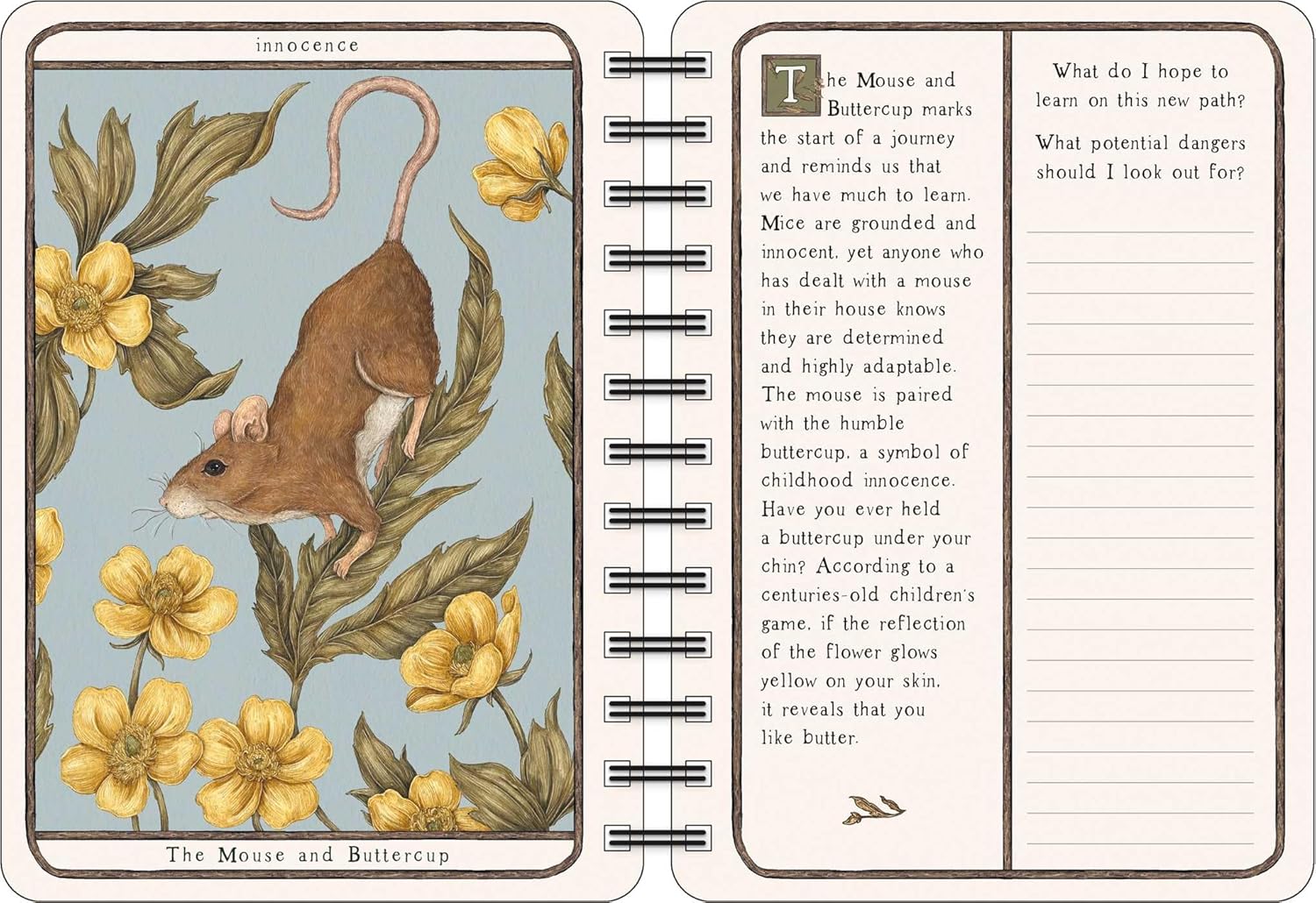 Woodland Wardens 2026 Weekly Planner 9781524899141_6