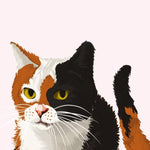 THE CAT WHO CAUGHT A KILLER (CONRAD THE CAT DETECTIVE #1) - SHEARER. L T Jerrol's Supplies