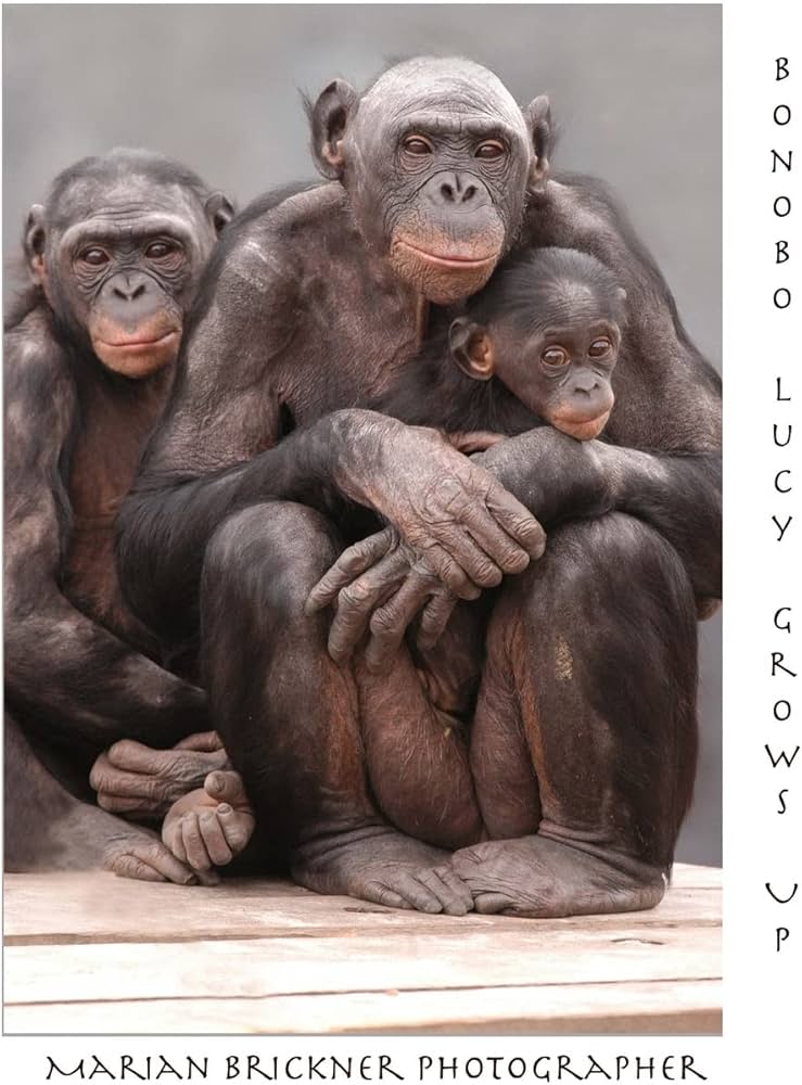 Bonobo Lucy Grows Up - Brickner. Marian 9781530105007
