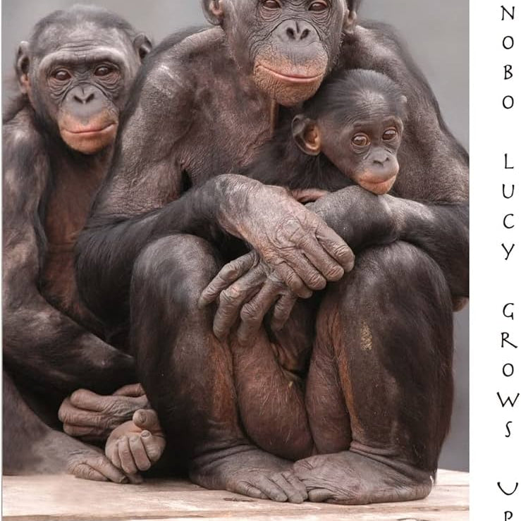 Bonobo Lucy Grows Up - Brickner. Marian 9781530105007