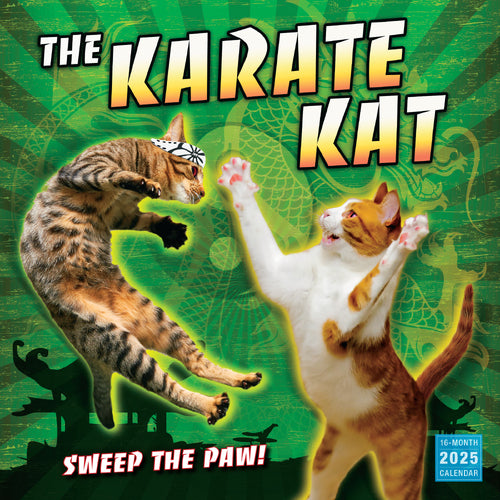 Karate Kat 2025 Wall Calendar - Rsvp/Sellers Publishing 9781531939915