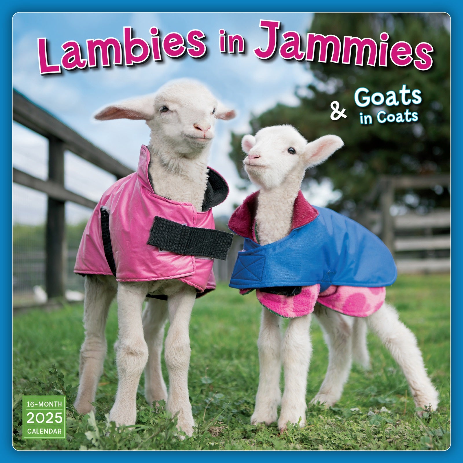 Lambies In Jammies 2025 Wall Calendar - Rsvp/Sellers Publishing 9781531939939