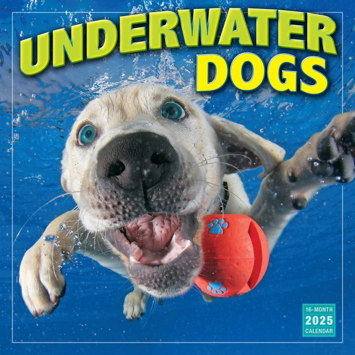Underwater Dogs 2025 Wall Calendar - Rsvp/Sellers Publishing 9781531940126