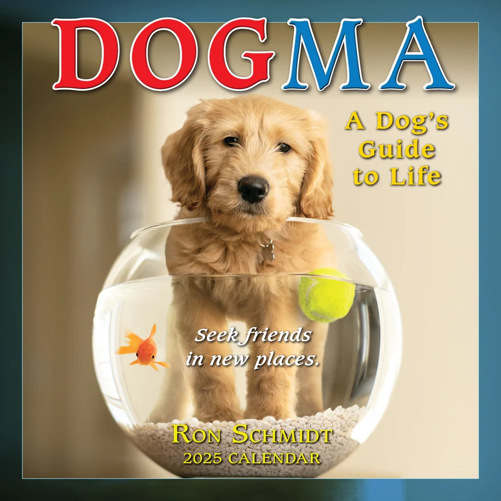 Dogma 2025 Mini Calendar - Rsvp/Sellers Publishing 9781531940553
