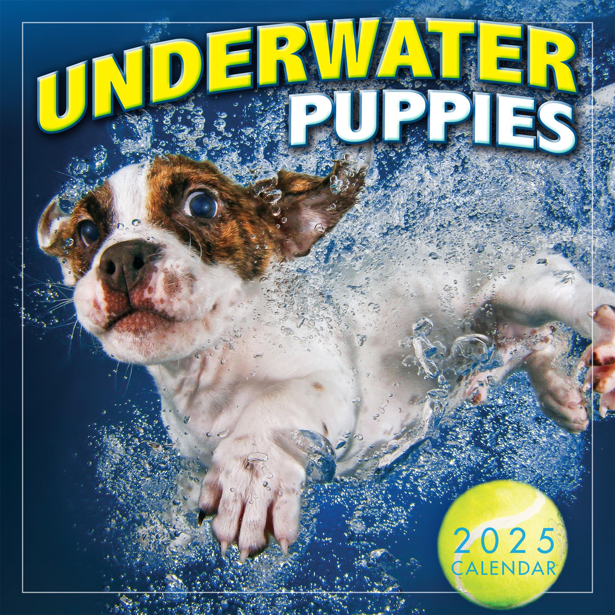 Underwater Pups 2025 Mini Calendar - Rsvp/Sellers Publishing 9781531940652
