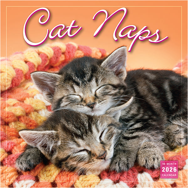 2026 Cat Naps 12X12 Wall Calendar 9781531943097
