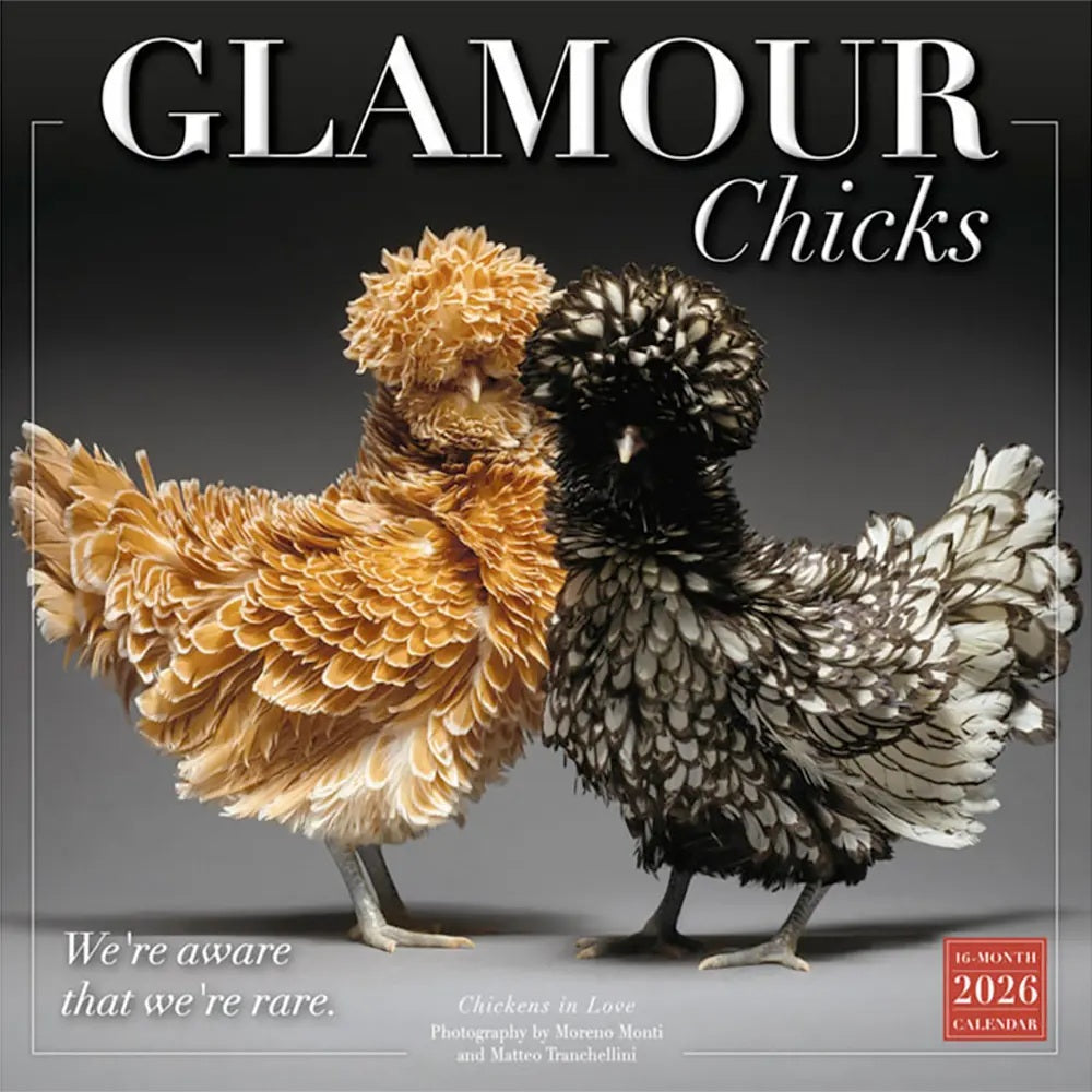 2026 Glamour Chicks 12X12 Wall Calendar 9781531943264